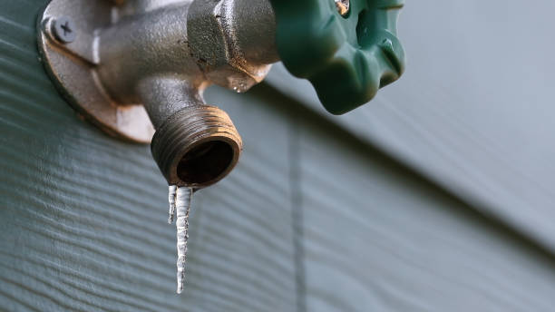 Best Local Plumber Services  in Cadott, WI