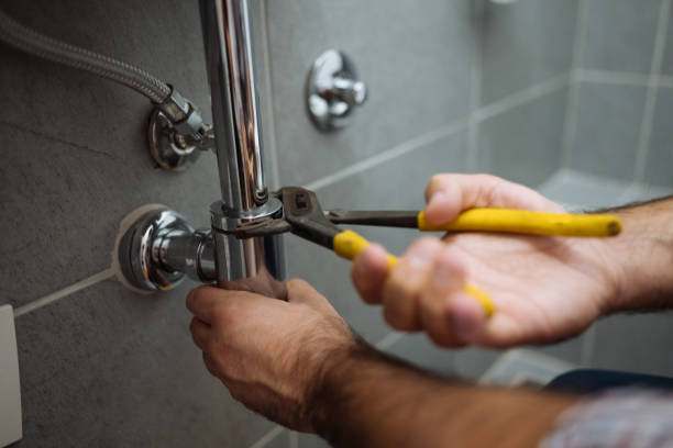 Best Septic Systems  in Cadott, WI